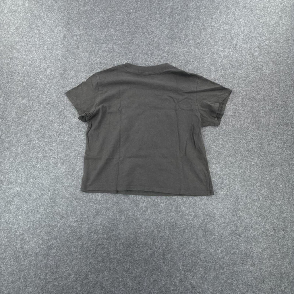 Ramones tee in grey