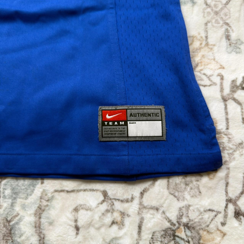 Nike NFL Florida Gators Jersey in Blue